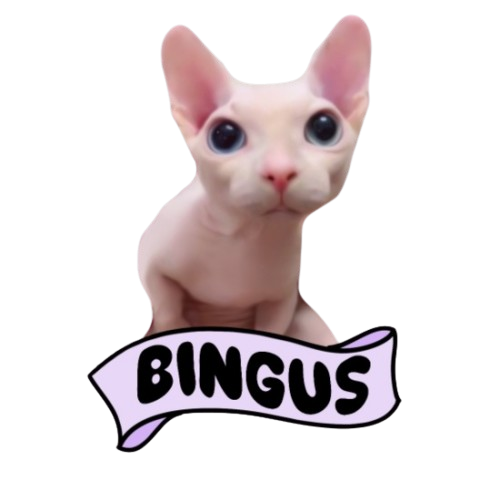 Bingus Logo